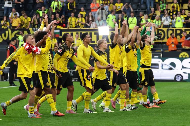 关于多特蒙德主场大捷，全力冲刺的信息